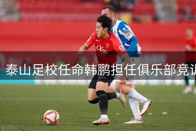 泰山足校任命韩鹏担任俱乐部竞训总监
